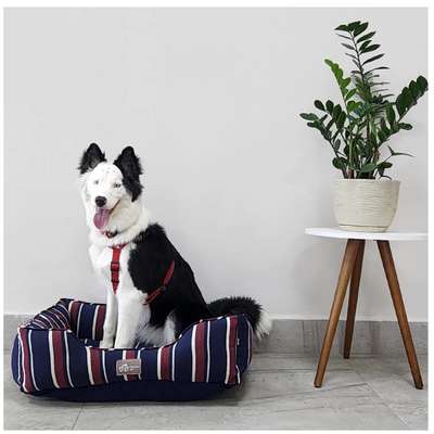Cama Fábrica Pet Eco Listra Vinho