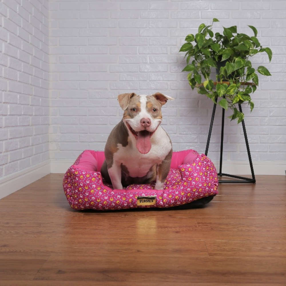 Cama Quadrada Luppet Conforto Osso Rosa - Tam. GG