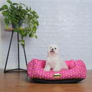 Cama Quadrada Luppet Conforto Osso Rosa - Tam. G