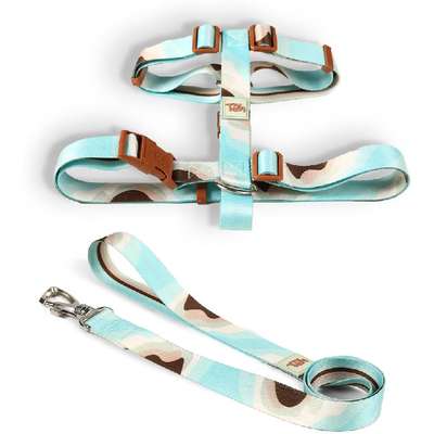Conjunto Peitoral H Toh e Guia Swell