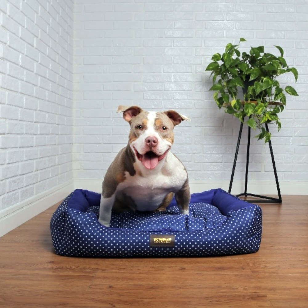 Cama Retangular Luppet Conforto Azul Poá - Tam. GG