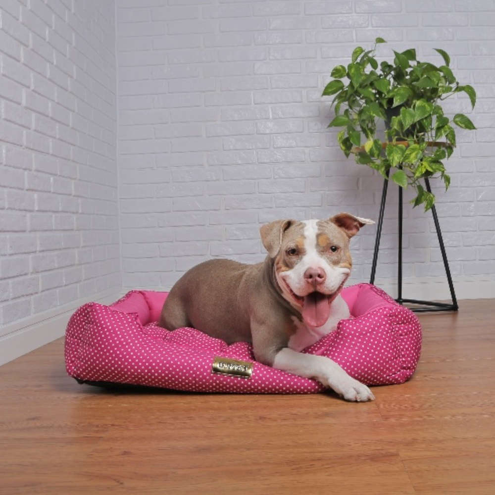 Cama Retangular Luppet Conforto Rosa Poá - Tam. GG