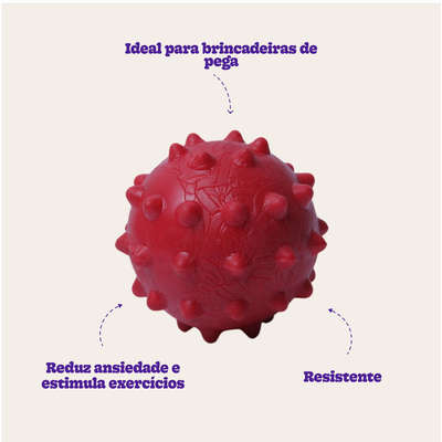 Brinquedo Duratoys Bola Cravo Vermelha