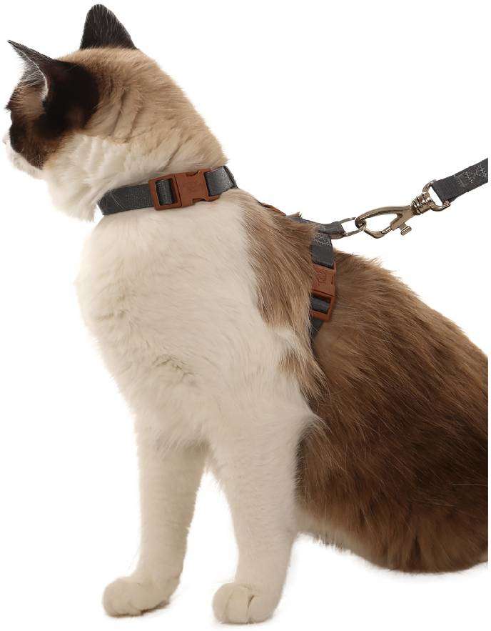 Conjunto Peitoral H Toh de Gato U Grafite-Caqui - Tam. Único