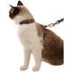 Conjunto Peitoral H Toh de Gato U Grafite-Caqui