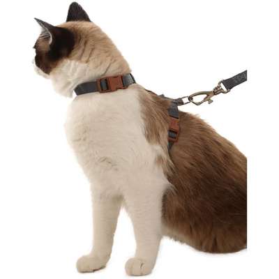 Conjunto Peitoral H Toh de Gato U Grafite-Caqui