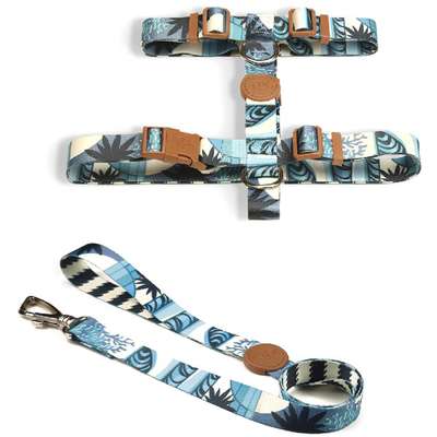 Conjunto Peitoral H Toh e Guia Noronha