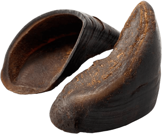 Petisco PetTreats para Cães Casco Bovino - 2 Unidades