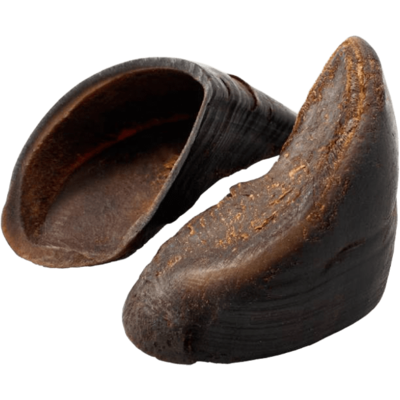 Petisco PetTreats para Cães Casco Bovino