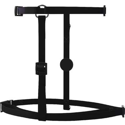 Kit MeuMiau Black