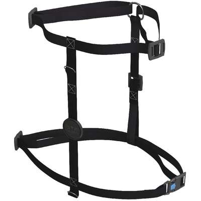 Kit MeuMiau Black