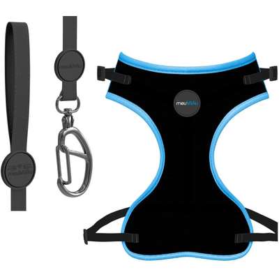 Kit Style MeuMiau Neon Azul