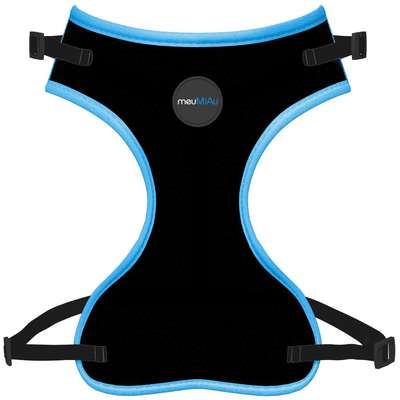 Kit Style MeuMiau Neon Azul