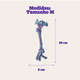 Brinquedo Mordedor Corda Dental Bone Azul e Rosa para Cães