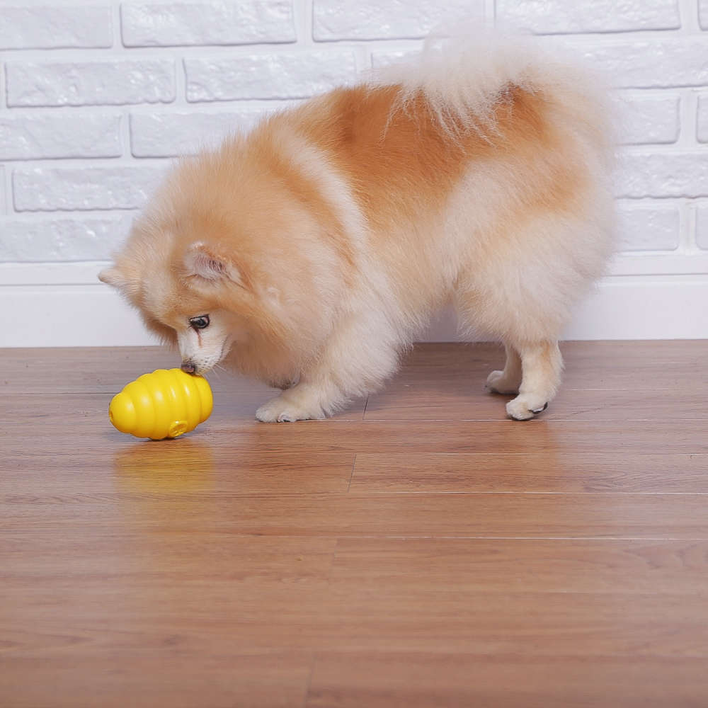 Brinquedo Colmeia Recheável para Cães - Tam. M