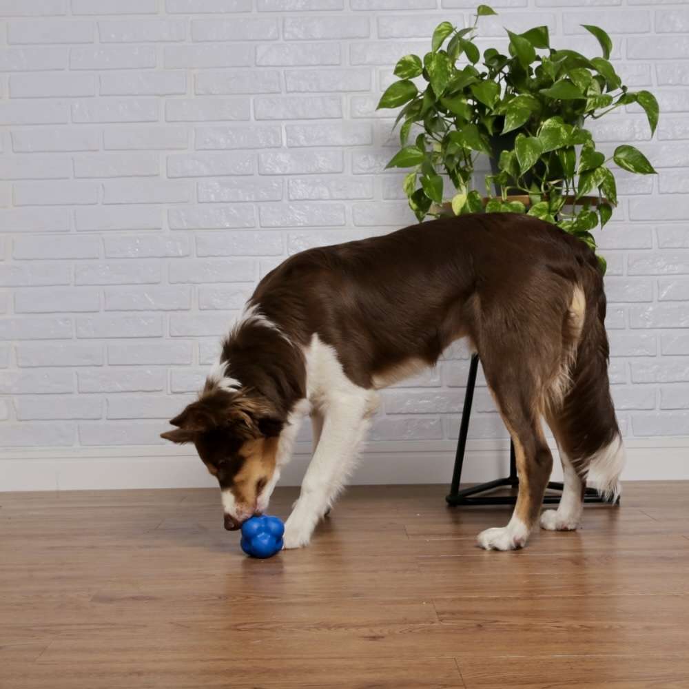 Brinquedo Bola Maciça Átomo 6 em 1 Azul para Cães - Tam. M