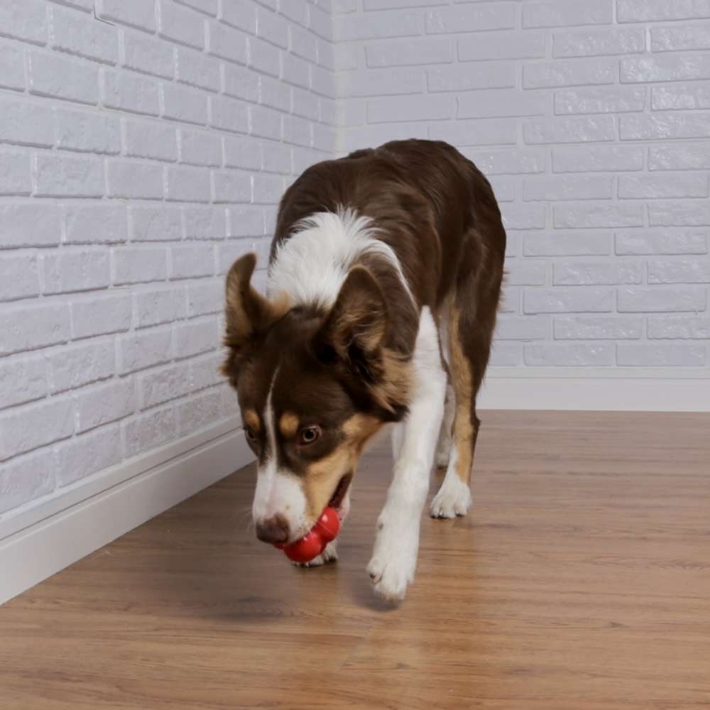 Brinquedo Bola Maciça Átomo 6 em 1 Vermelho para Cães - Tam. M