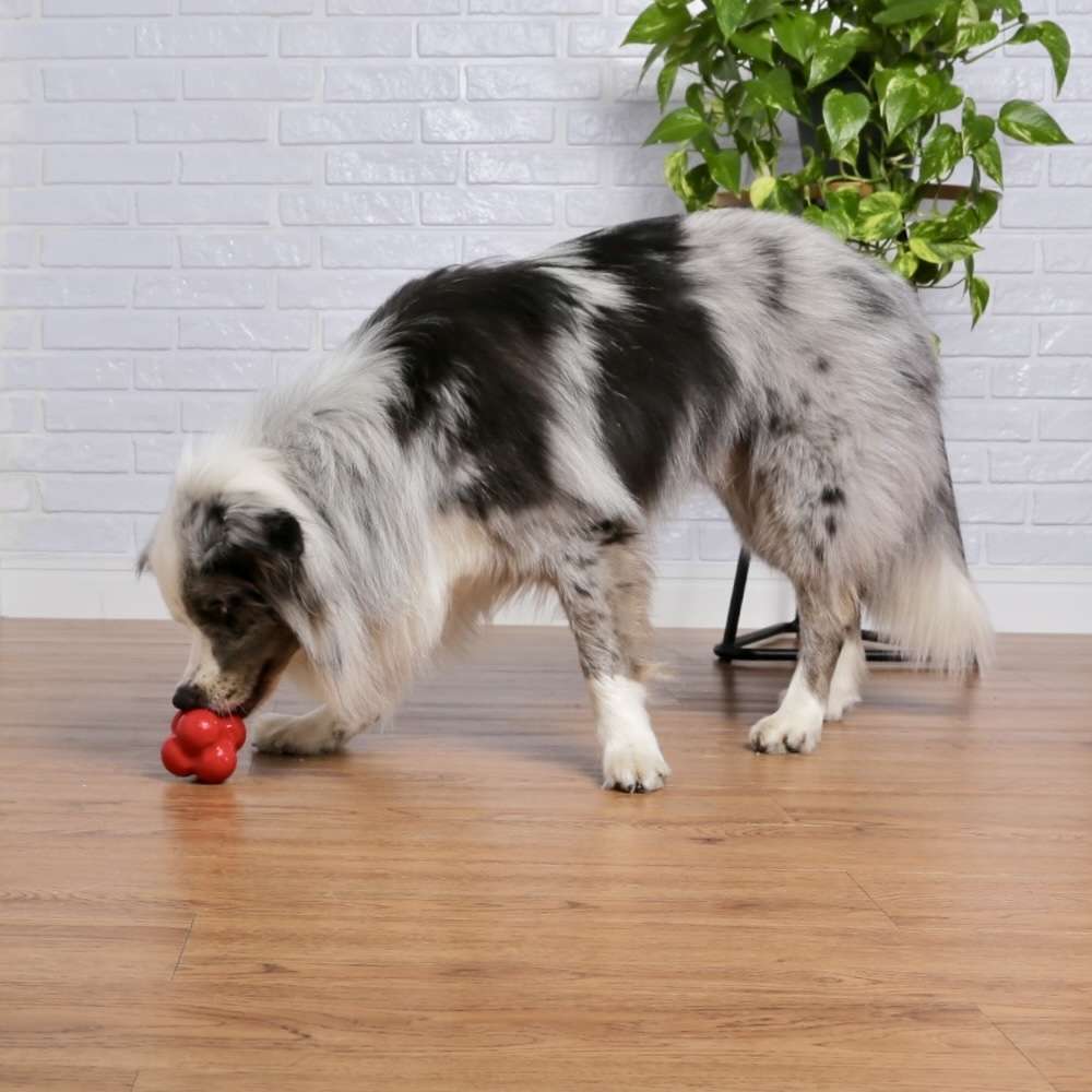 Brinquedo Bola Maciça Átomo 6 em 1 Vermelho para Cães - Tam. G