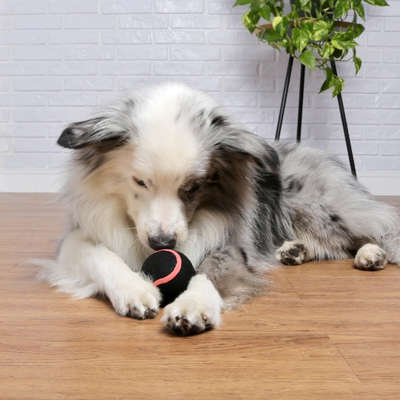 Brinquedo Mordedor Germanhart Bola de Tênis com Apito para Cães