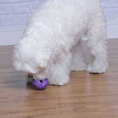 Bola Macaquinho Pet Games Lilás com Dispenser de Ração ou Petisco