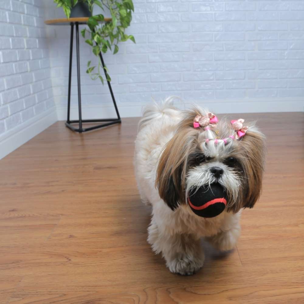 Brinquedo Mordedor Germanhart Bola de Tênis para Cães - Tam. Único