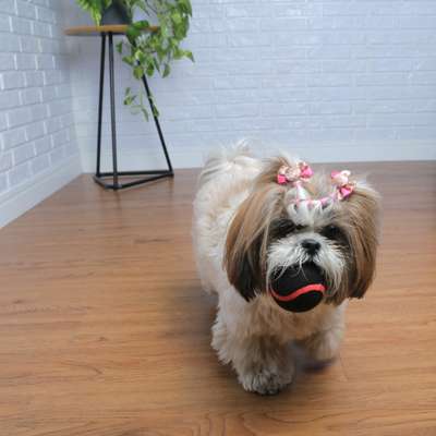 Brinquedo Mordedor Germanhart Bola de Tênis para Cães