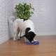 Brinquedo Odontopet Argola Espacial Dental com Corda para Cães”