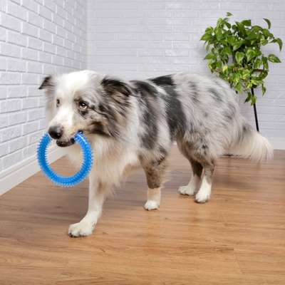 Brinquedo Odontopet Argola Dental Azul para Cães”
