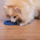 Brinquedo Odontopet Argola Dental Azul para Cães”
