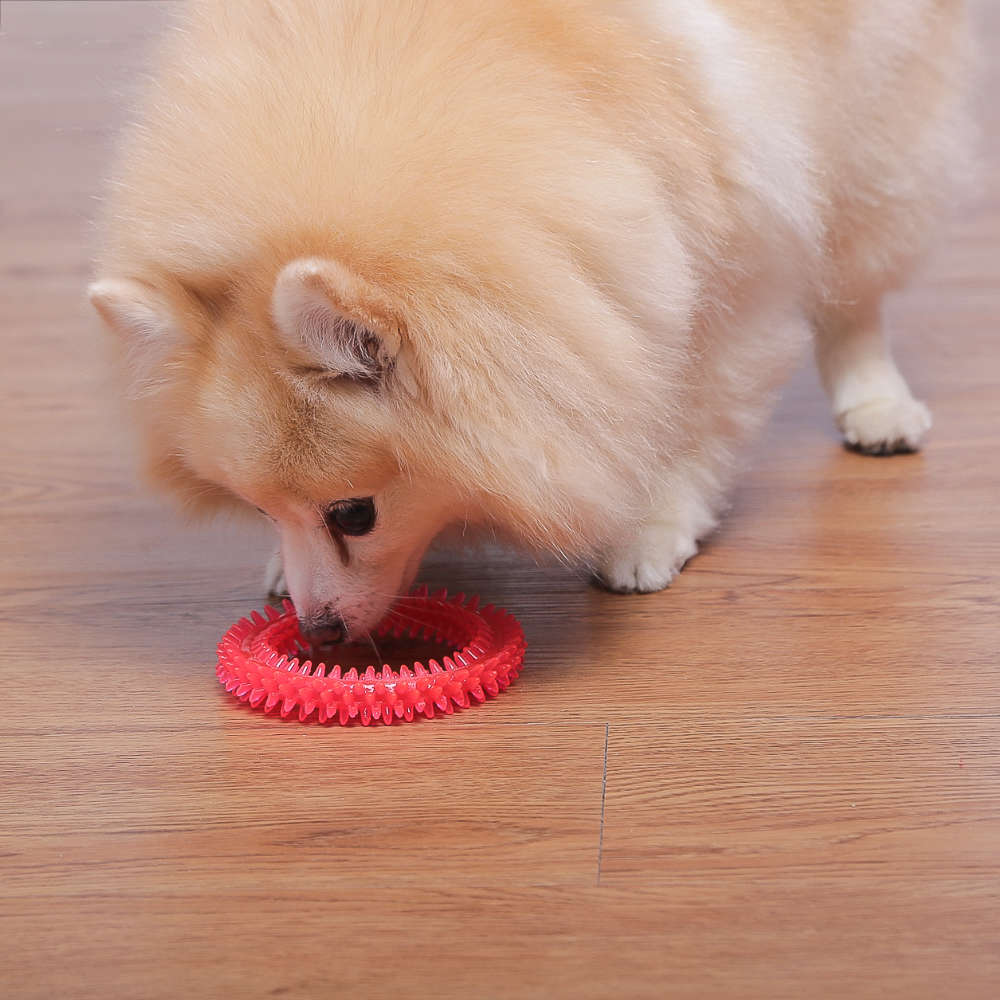 Brinquedo Odontopet Argola Dental Rosa para Cães - Tam. P