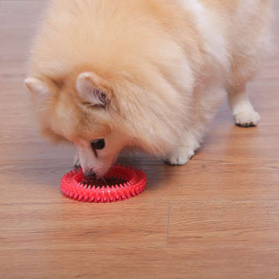 Brinquedo Odontopet Argola Dental Rosa para Cães