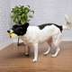 Brinquedo Mordedor Germanhart Osso com LED Doglow para Cães