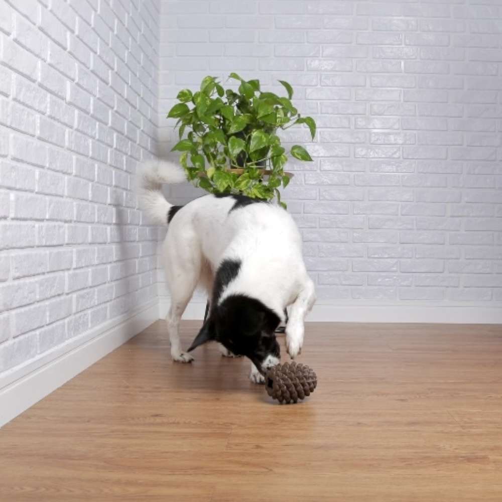 Brinquedo Interativo Germanhart Pinhau Porta Petisco para Cães - Tam. Único