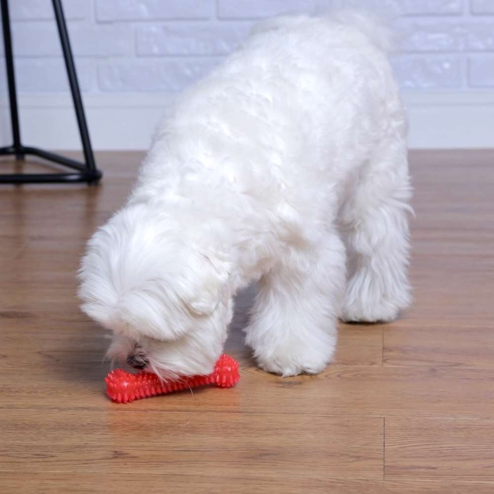 Brinquedo Odontopet Osso Dental Bone Rosa para Cães - Tam. P