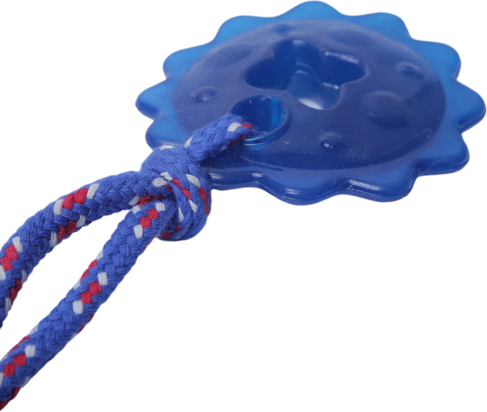 Brinquedo Odontopet Estrela Dental com Corda Azul para Cães - Tam. Único