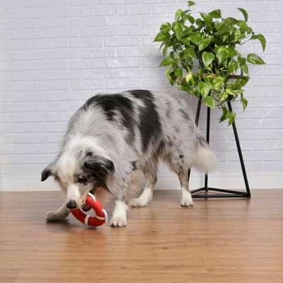Brinquedo Mordedor Germanhart Boia Flutuacão para Cães