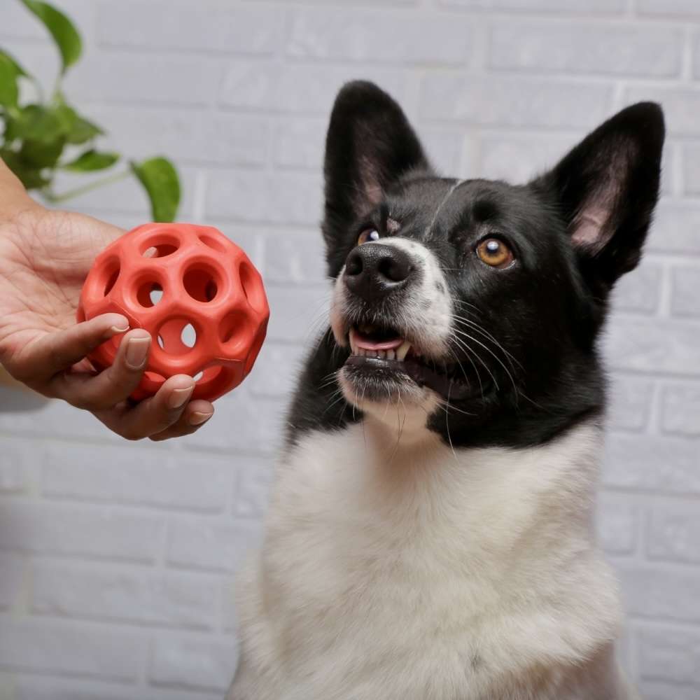 Brinquedo Bola Germanhart Airball para Cães - Tam. Único