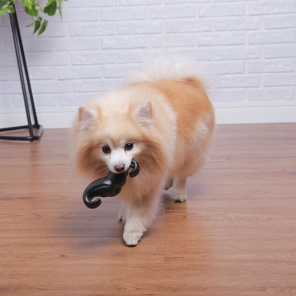Brinquedo Mordedor Germanhart Bidogue para Cães - Tam. Único