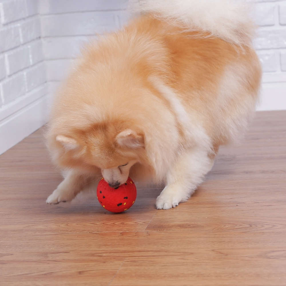 Brinquedo Bola Germanhart Flexiball Extraforte para Cães - Tam. Único