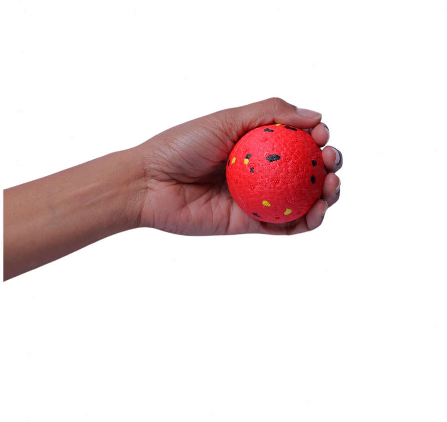 Brinquedo Bola Germanhart Flexiball Extraforte para Cães - Tam. Único