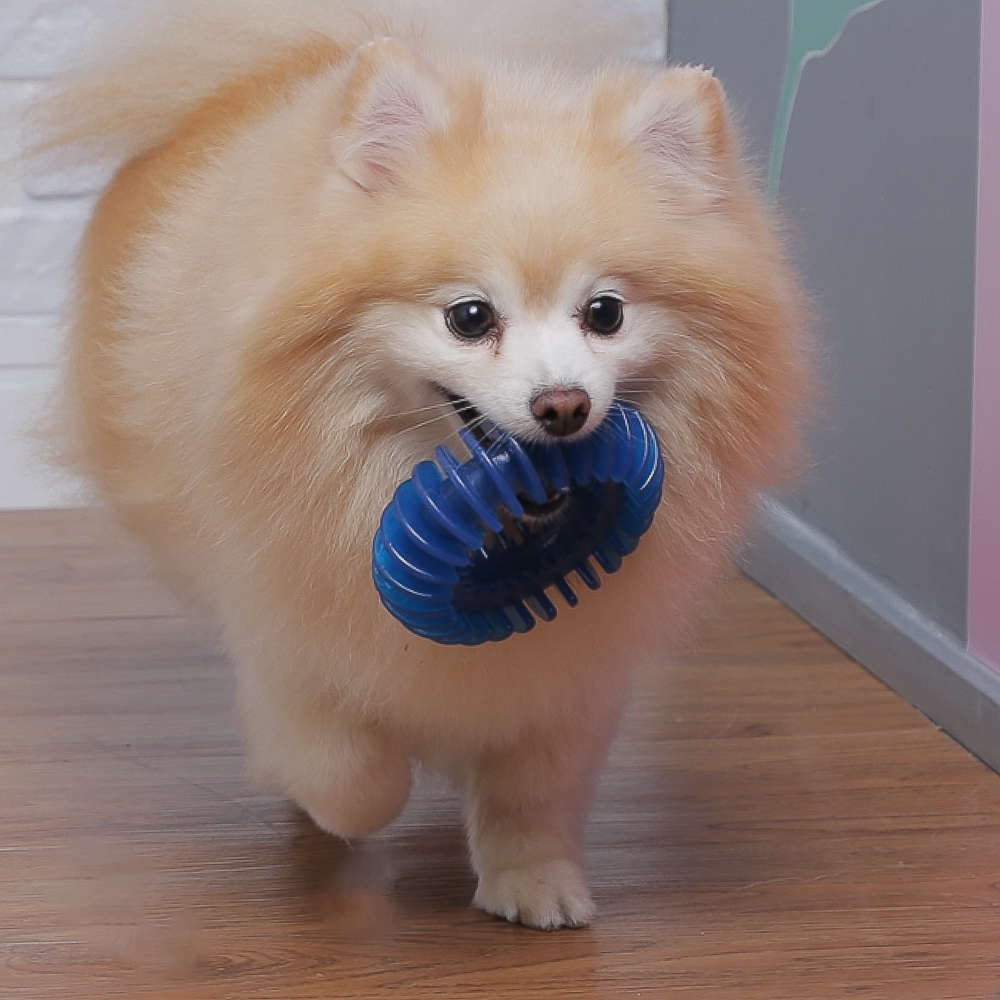 Brinquedo Odontopet Argola Espacial Dental para Cães - Tam. Único