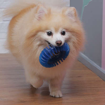 Brinquedo Odontopet Argola Espacial Dental para Cães