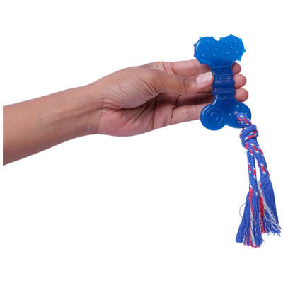 Brinquedo Odontopet Osso Dental Flat com Corda Azul para Cães