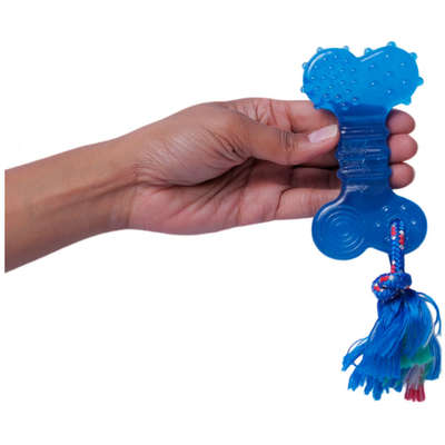 Brinquedo Odontopet Osso Dental Flat com Corda Azul para Cães