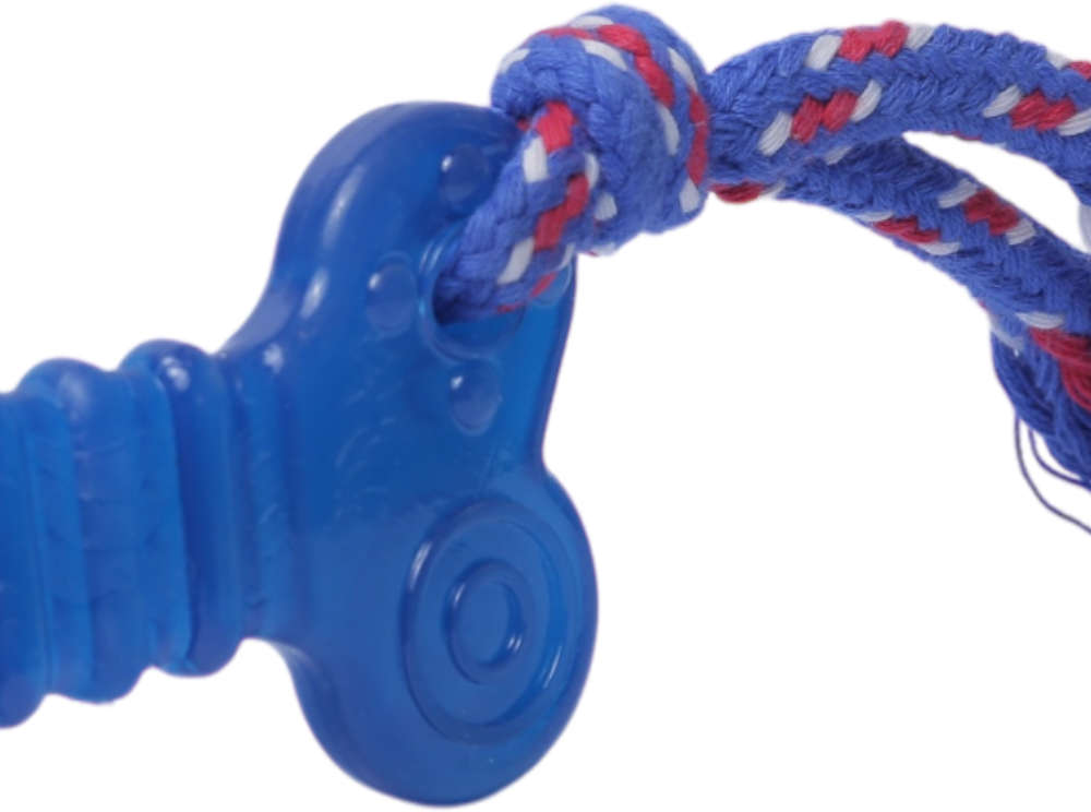 Brinquedo Odontopet Osso Dental Flat com Corda Azul para Cães - Tam. P