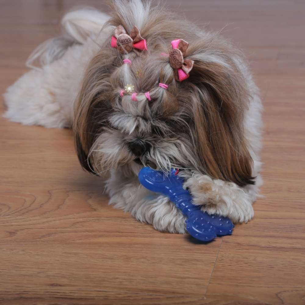 Brinquedo Odontopet Osso Dental Flat com Corda Azul para Cães - Tam. P