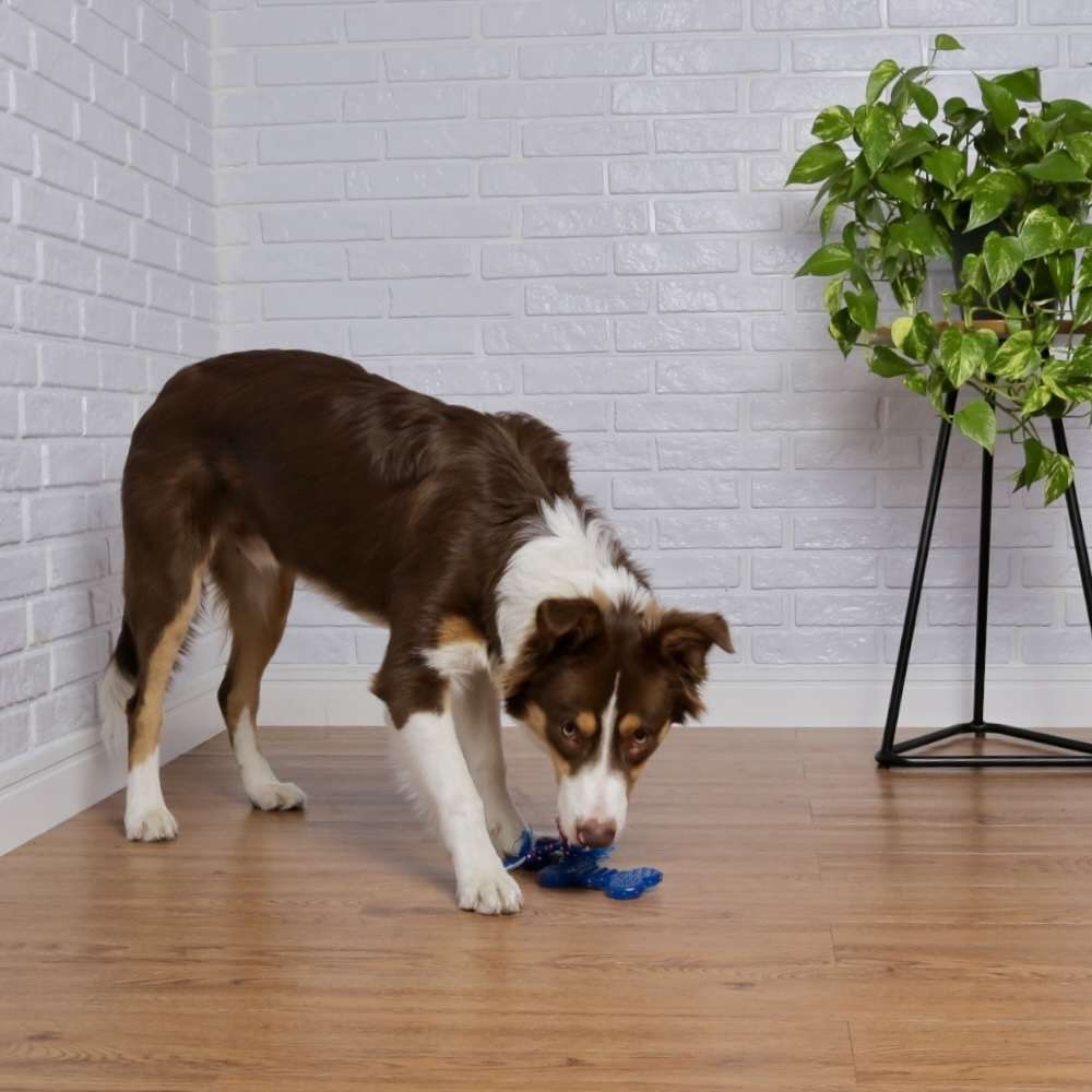 Brinquedo Odontopet Osso Dental Flat com Corda Azul para Cães - Tam. M