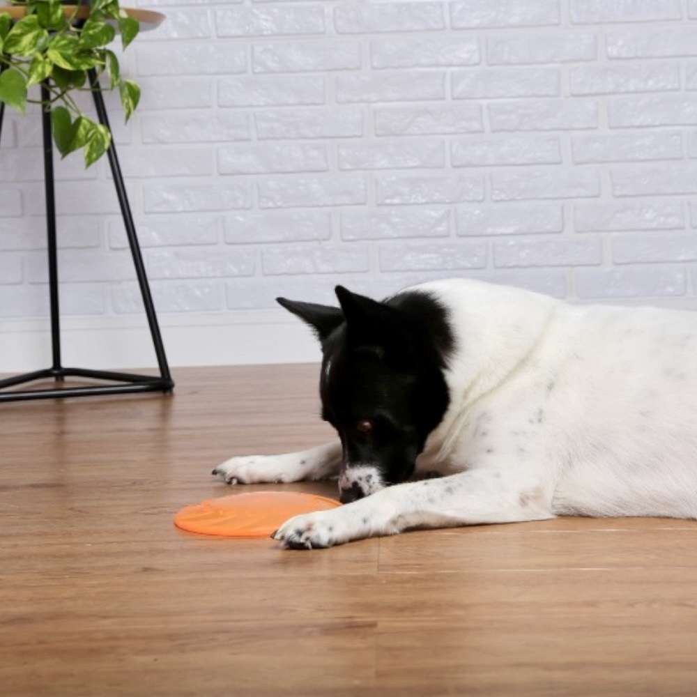 Brinquedo Odontopet Fresbee Dental Laranja para Cães - Tam. Único