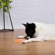 Brinquedo Odontopet Fresbee Dental Laranja para Cães