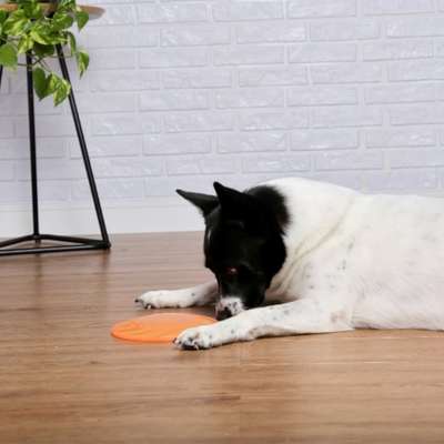 Brinquedo Odontopet Fresbee Dental Laranja para Cães